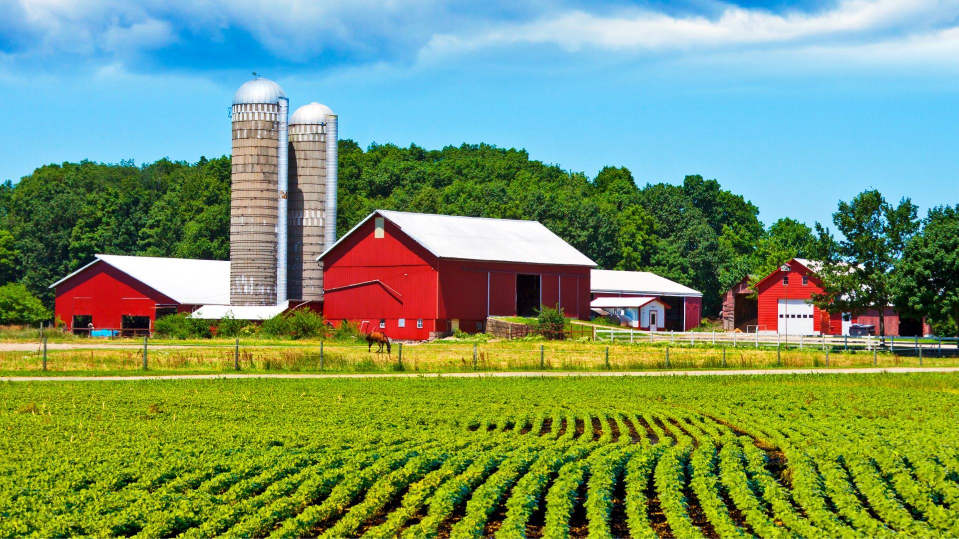 A Livestock Monitoring System for an Agricultural Startup