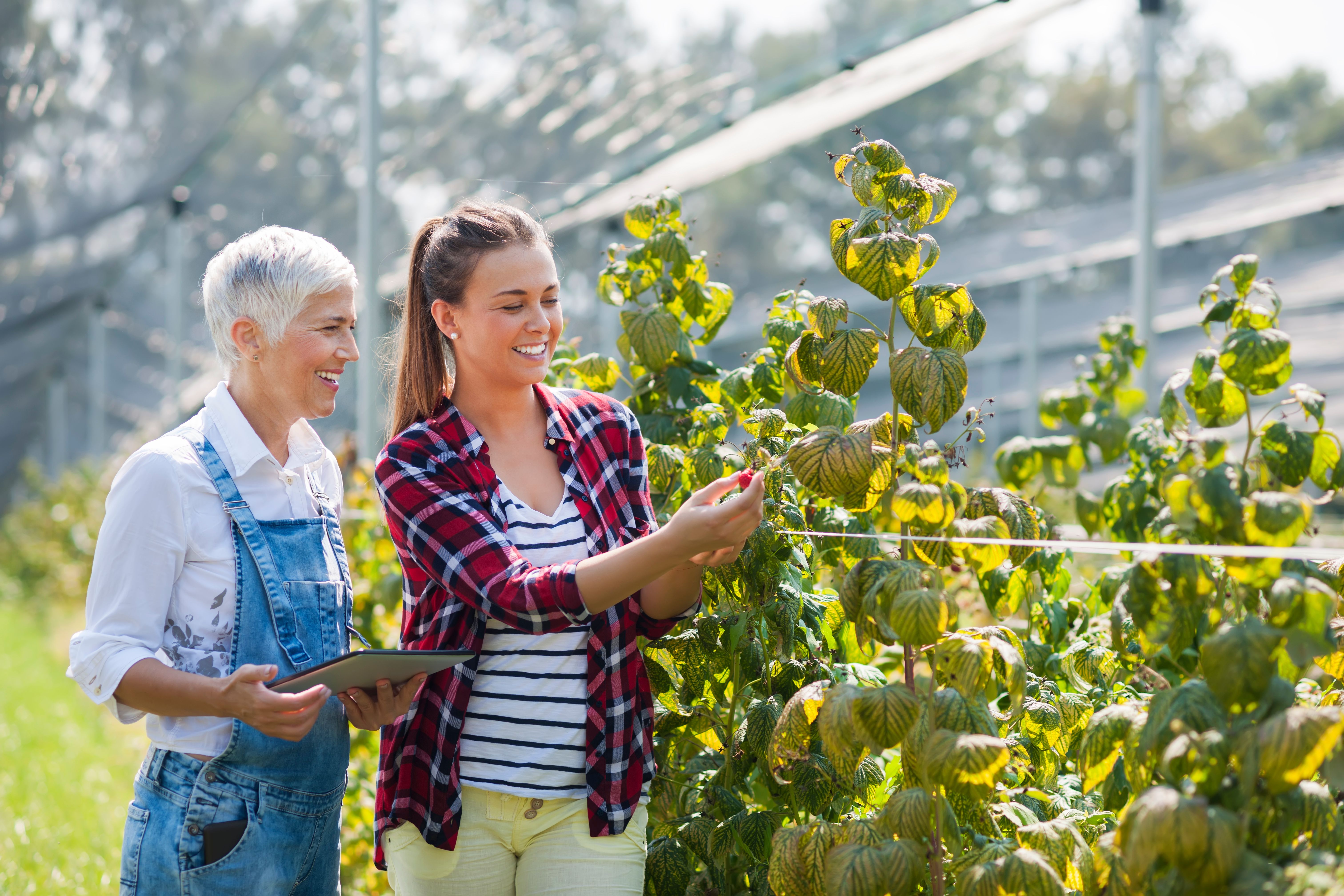 Plant pathology recognition app