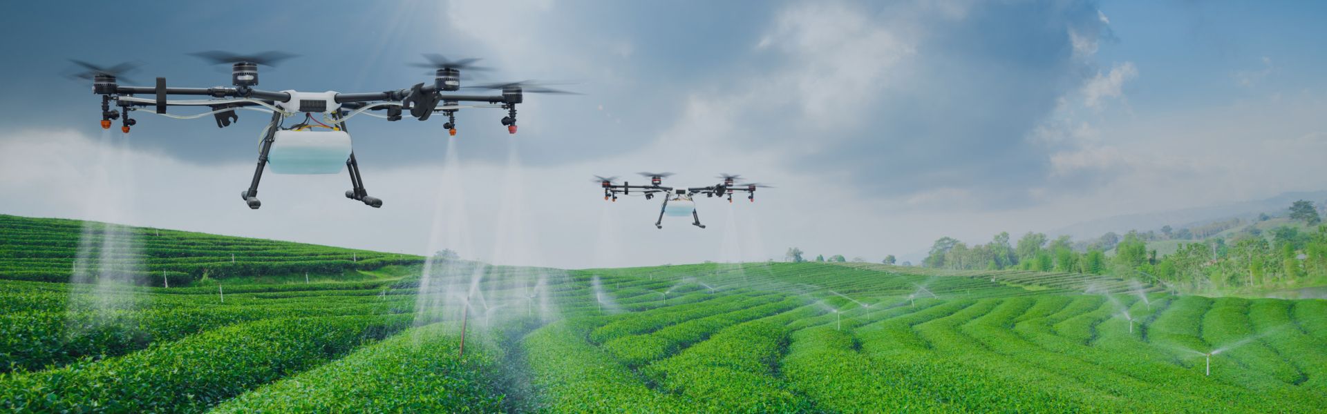 Machine Learning in Agriculture: What It Can Do Now & in the Future