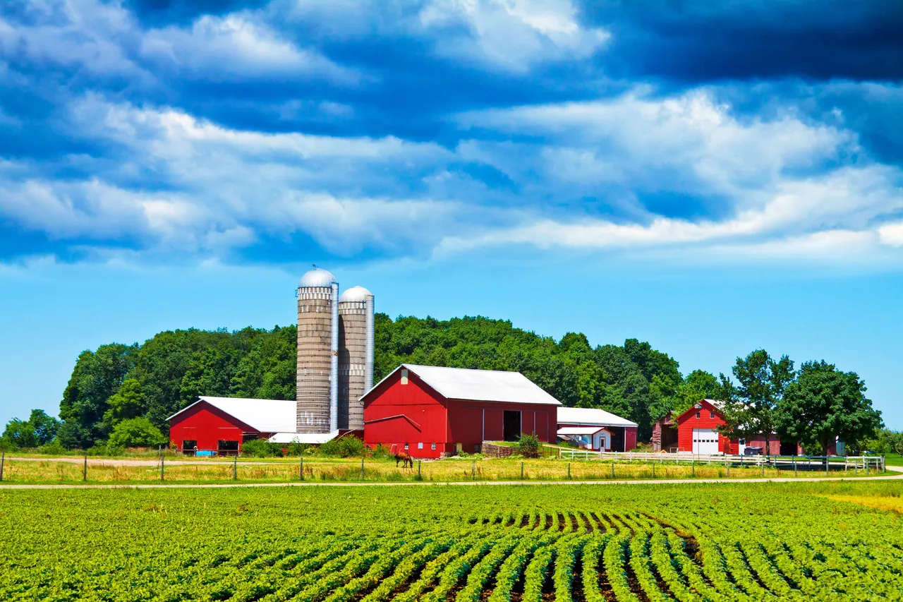 Livestock monitoring system for an agricultural startup